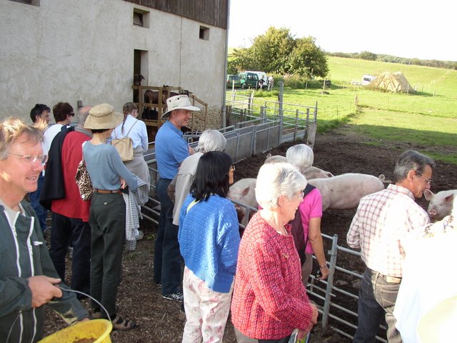 2011 09 24 Sortie ferme de la Noue 11